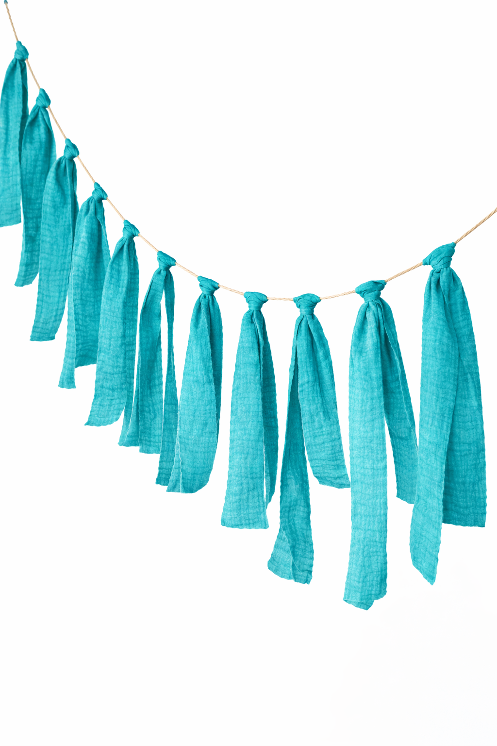 Tassel Slinger -Transformative Teal